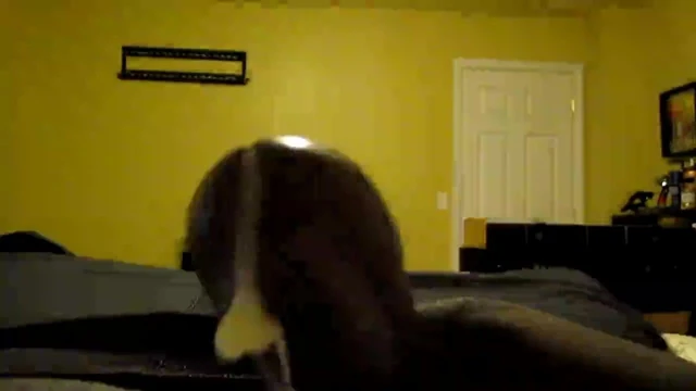 shooting my milk
