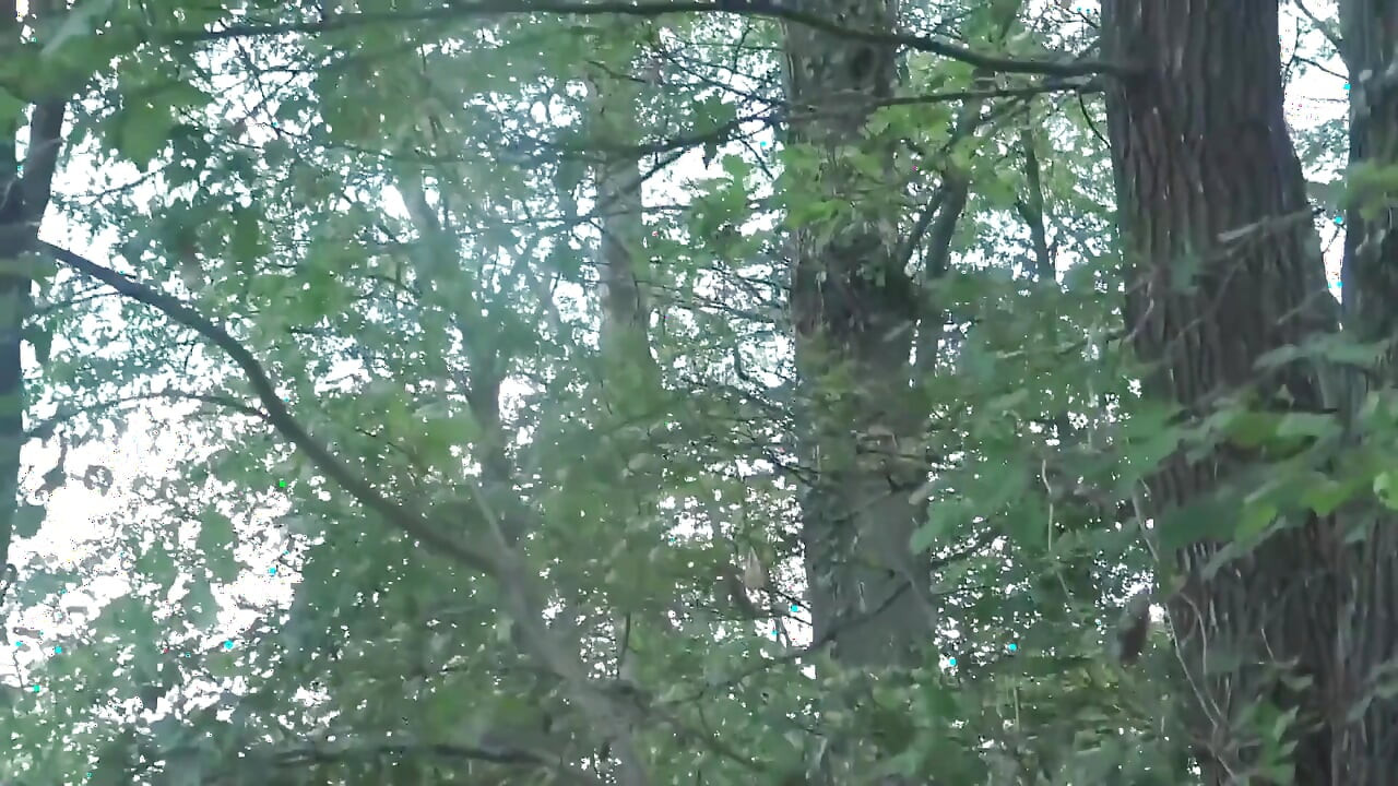 Penembusan berganda dan seks dubur untuk MILF berambut perang ini