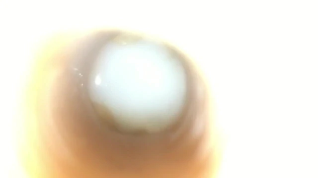 Cumming in a Stoya Fleshlight with Slo Mo Cumshot