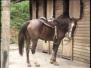 Brunetka kowboj dostaje grubego kutasa do ruchania po zjedzeniu jej cipki