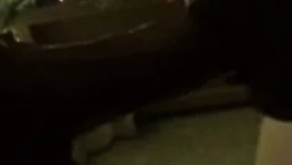 Blindfolded CD Blowjob