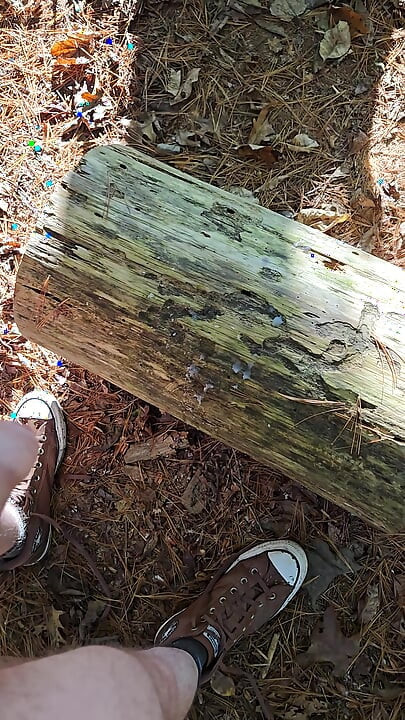 Naked quick cum on log seat while hiking along a wooded trail in public