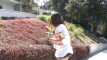 Pratinjau video
