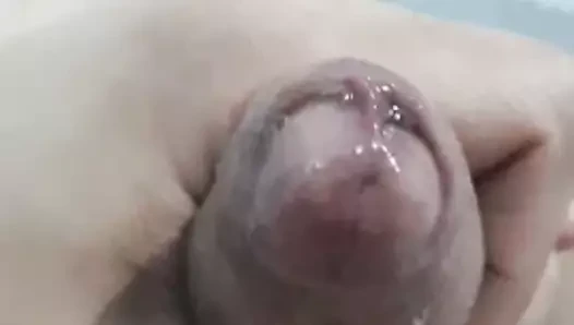 Wet Foreskin