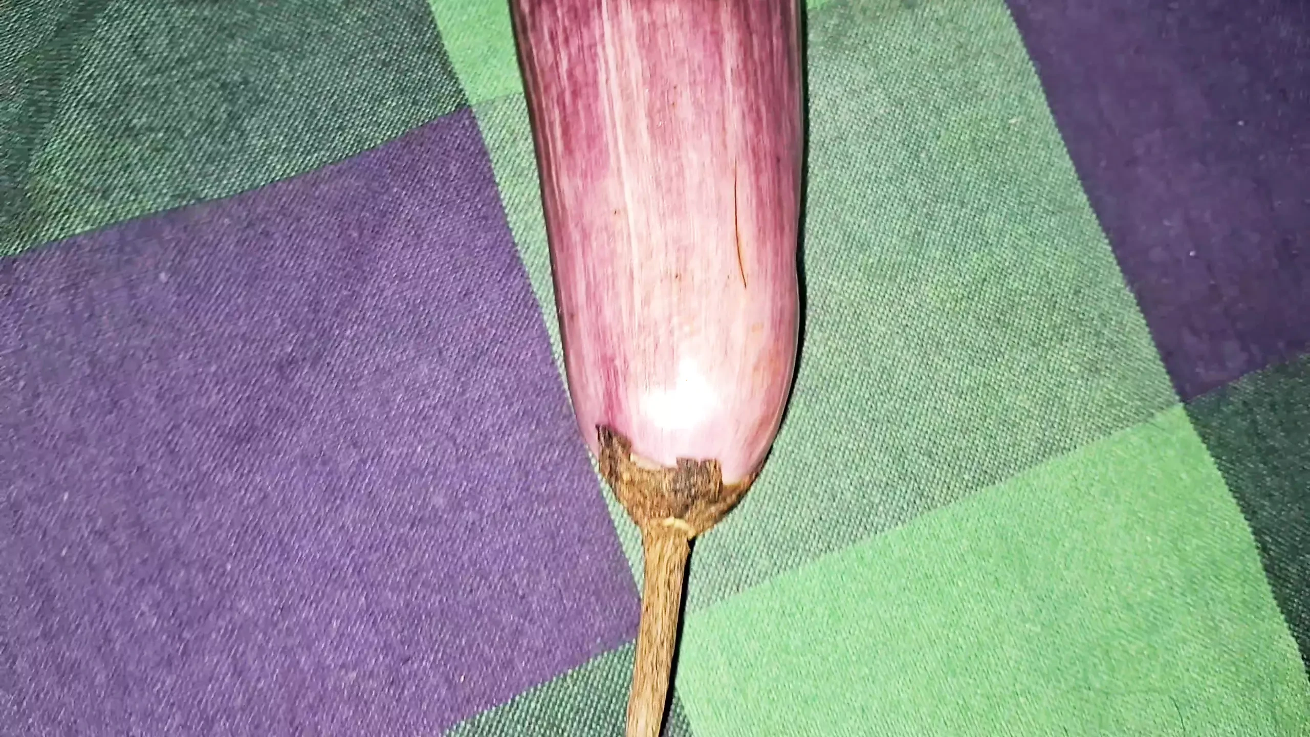 Azijska seksi devojka je skinula brinjal