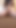 Cow Slut Self Milking