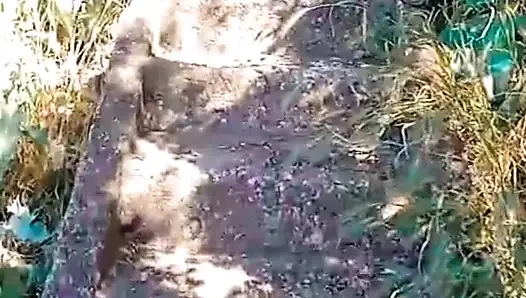 WillyAlexandruPetre-video