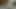フィスティングクリーミープッシーオーガズム