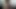 Home Grown Video 383