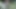 Guy solo masturbation in the backyard