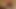 もう一つの弱虫をかがめる