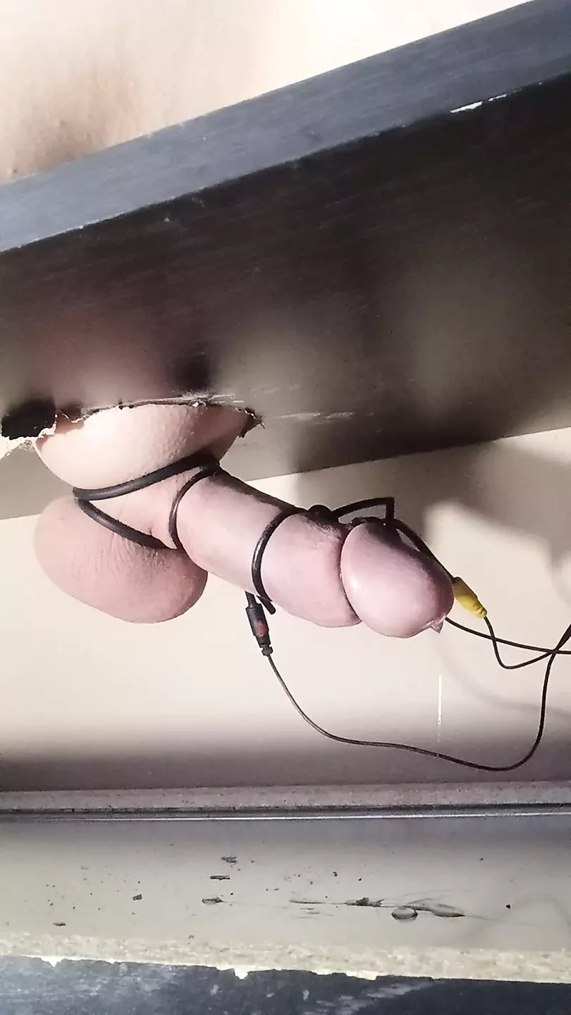 Hanging cock estim cumshot