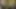 Kredi4k. kız tezgâhtarlık yapmaktan bıkmış…