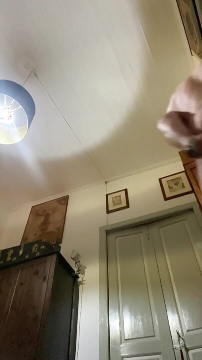 내 자지와 볼을 존나게 따먹어.2