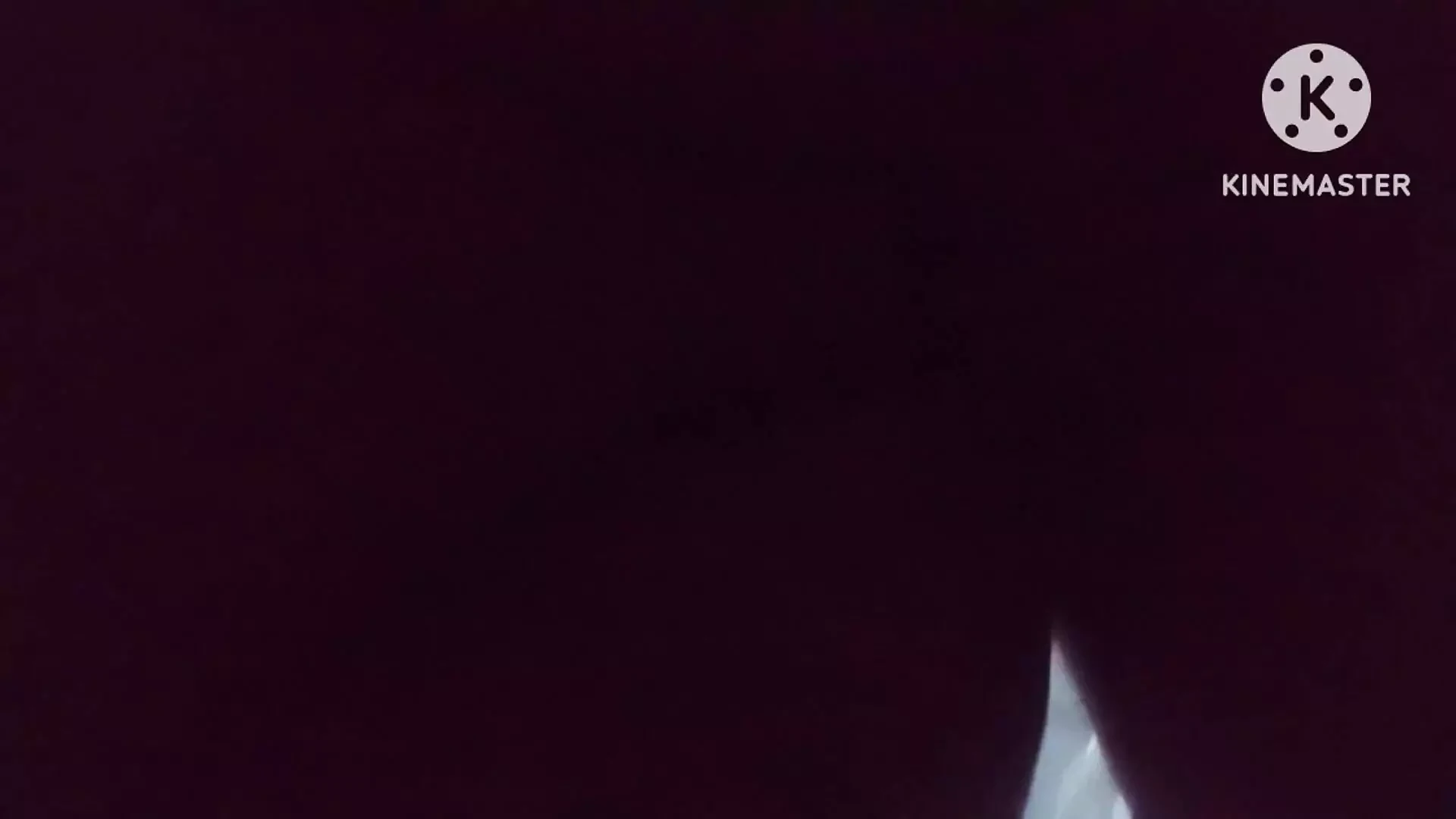 Tight Desi Pussy