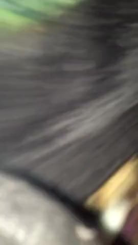 Bbw taking a big dildo
