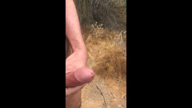 guys showing their cocks at the cruising spot
