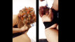 Pregled videozapisa