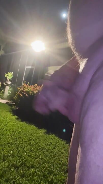Late Night Walk A Bout