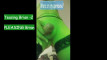Pregled videozapisa
