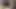 shemale lingerie sounding dildo sissy 1