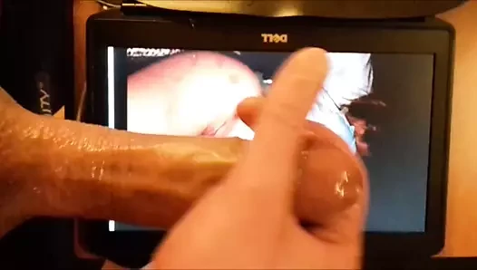 Herhangi bir maia saygısı
