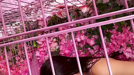 Pink room ep.33: si cewek nakal latina yang lagi sange berat zoey dan jessica suka banget sama kontol