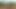 Campfire Girl (360 Spherical 2D)