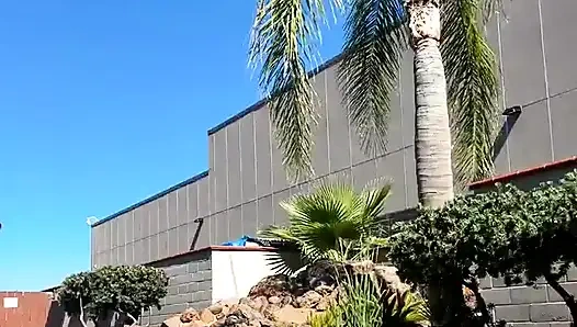 Stream begann bräunen