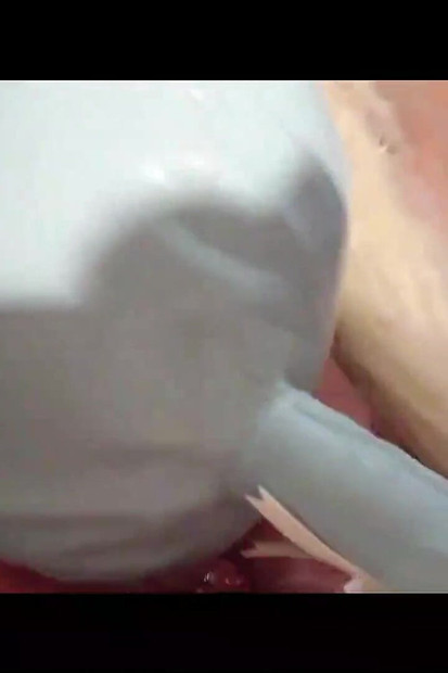 MILF Always on Her Knees Taking Cocks in Her Mouth POV