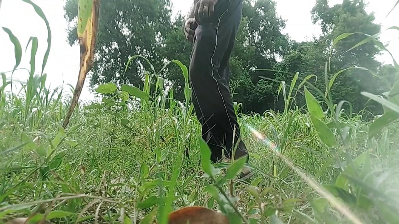 Desi gay tashjendar shemele forest handjob