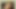 Cazyshemaleがワイルドに