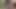 الملاك الآسيوي 25122