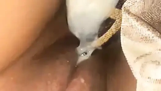 New nepali doggy majja aaiyo .  Moment of Pure Love .