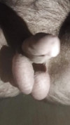 Pratinjau video