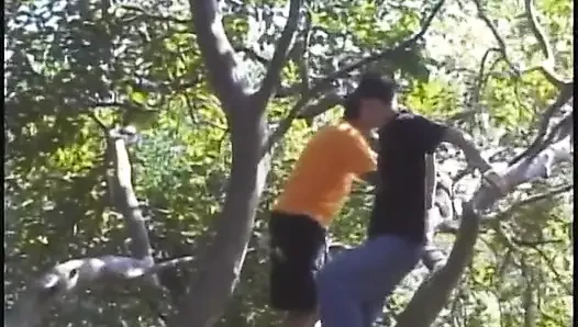 Beyaz iri güzel kadın erkek arkadaşının büyük yarağıyla sikiliyor