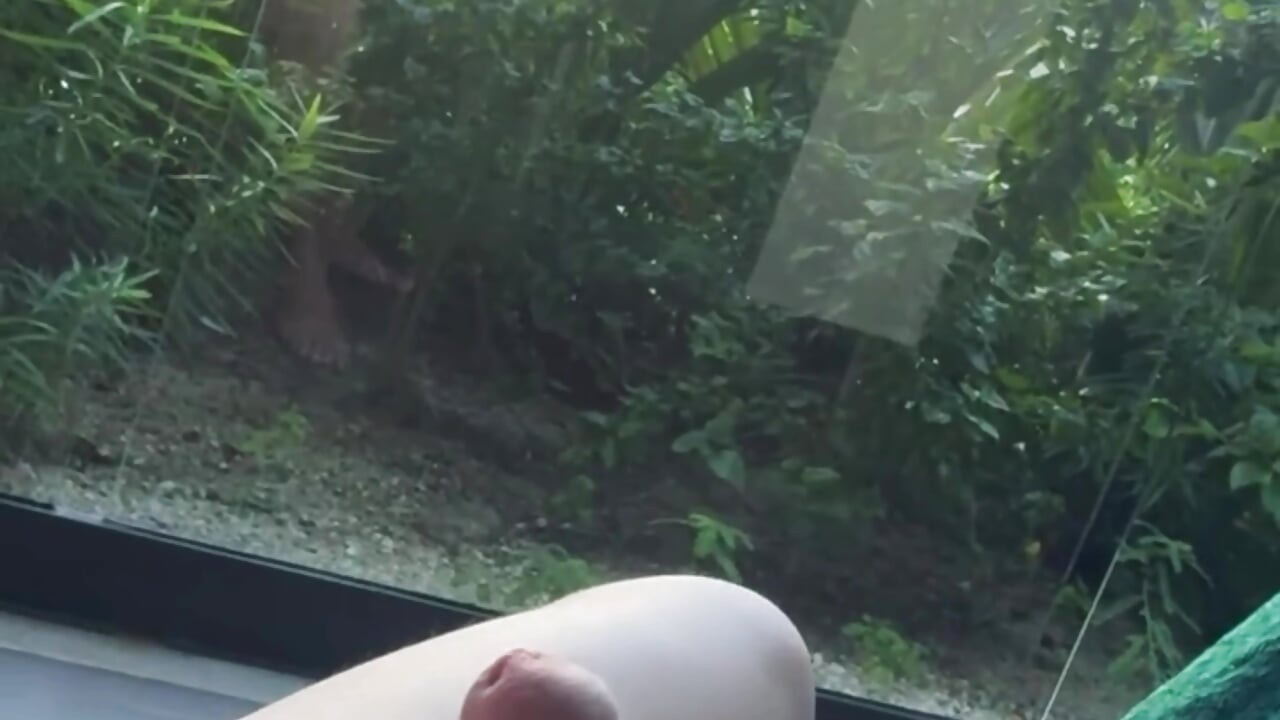 In love with my dick when you have a free time that’s what I do