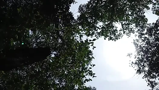 Jangal me mangal chut ki chudai