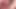 Desperate Amateurs Nikki and Shayla Suck Big Cock and Get Their Pretty White Faces with Cum