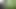 Jolly green giant lol