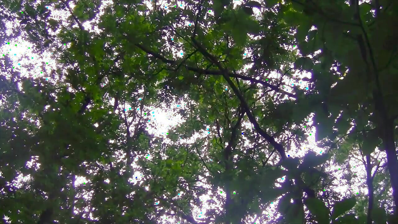 Cumshot yang bagus dan panjang, bertelanjang dada, di hutan umum