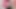 Girlfriend Sucking Cock