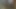 Dev siyah memeler ve göt sıçrama