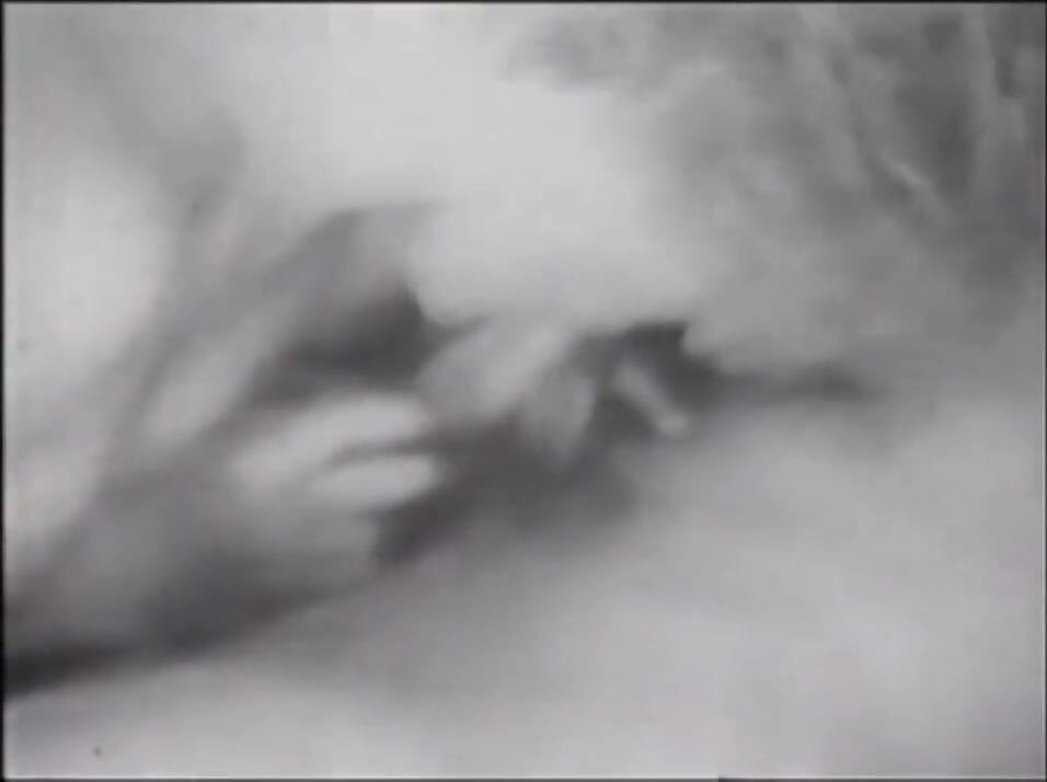 A lenda do pornô - EUA 1969, o início - Cena 23