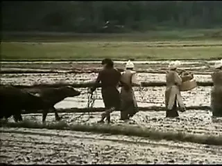 Marco Polo- Full Movie