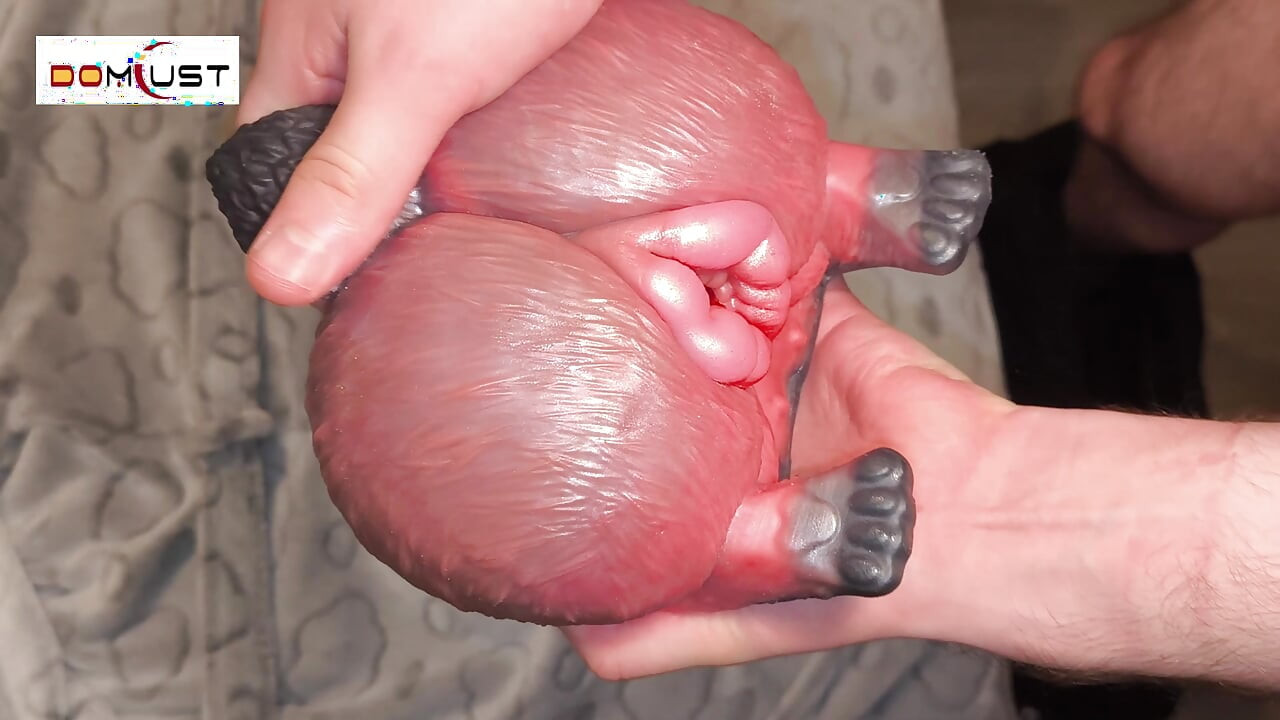 Domlust  Pussy Torso Review - 100% Platinum Silicone Toy Play