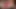 28 Minutes of Piss, Hands Free Cum, Bull Balls, Huge Load Cum Tribute