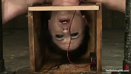 Sophie Monroe День 4 испытание выносливости и затруднительного положения с помощью из Орландо