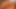 big ass reverse cowgirl close up