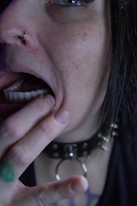 Updated Mouth Tour